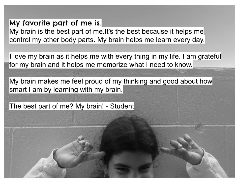 Student writing sample for CSTP 3 Evidence 1